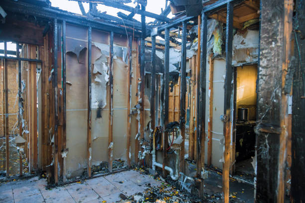Professional Fire Damage Removal technician working in Rush City, MN